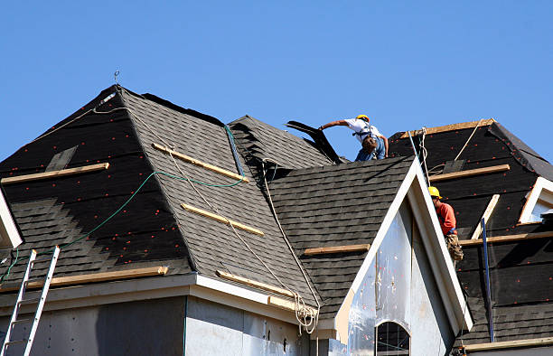 Best Gutter Installation and Roofing  in Harvey, IL